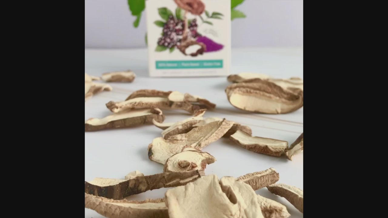 Tiger Milk Mushroom By PurelyB